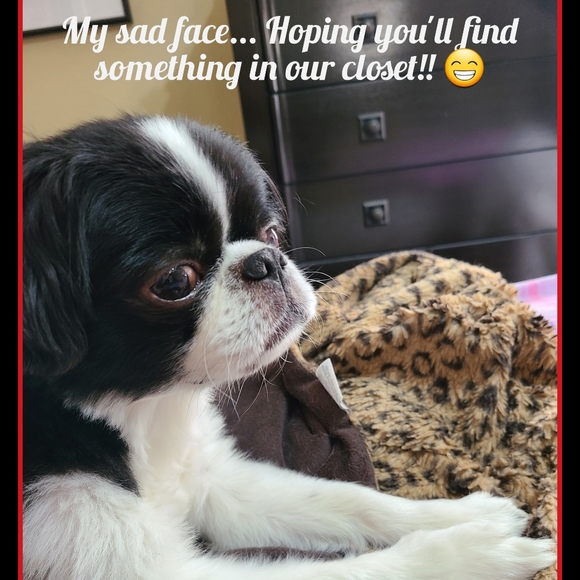 Let us know if WE can help YOU find anything!! - Picture 1 of 1